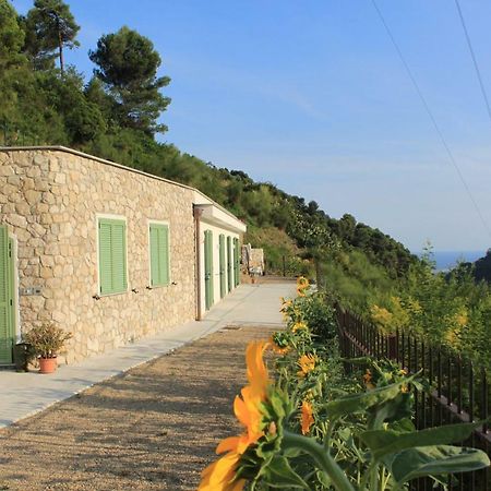 Il Casotto del Nonno Lejlighed Ventimiglia Eksteriør billede