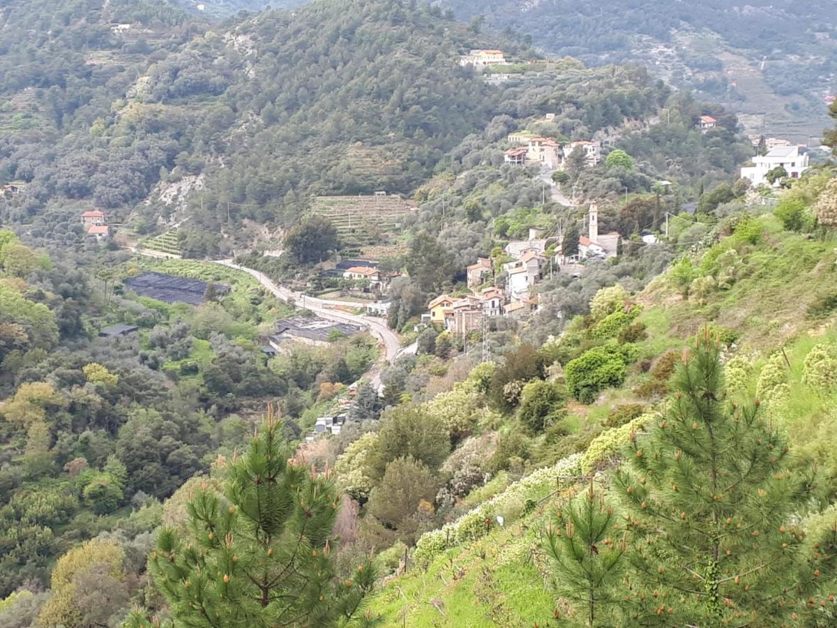Il Casotto del Nonno Lejlighed Ventimiglia Eksteriør billede