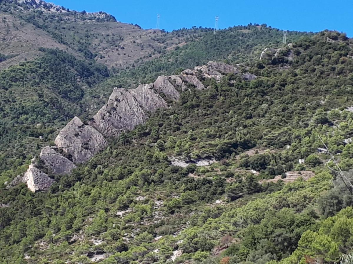 Il Casotto del Nonno Lejlighed Ventimiglia Eksteriør billede