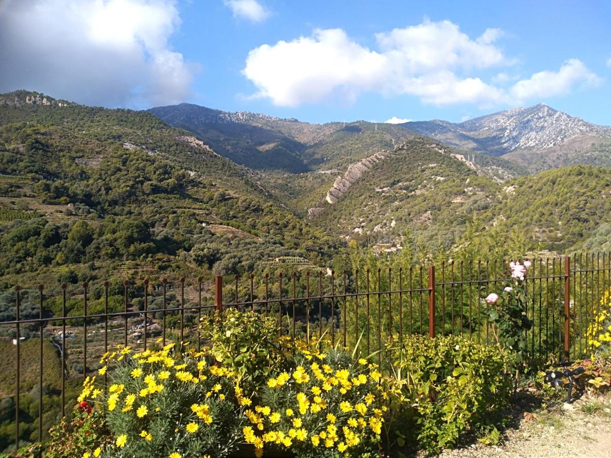 Il Casotto del Nonno Lejlighed Ventimiglia Eksteriør billede