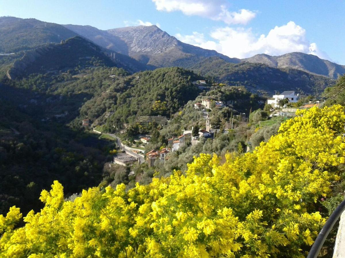 Il Casotto del Nonno Lejlighed Ventimiglia Eksteriør billede